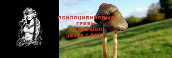 тгк Алексин