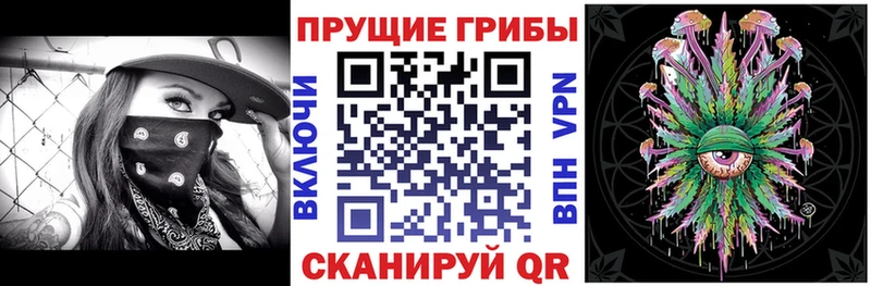 Галлюциногенные грибы прущие грибы  как найти   Мещовск 